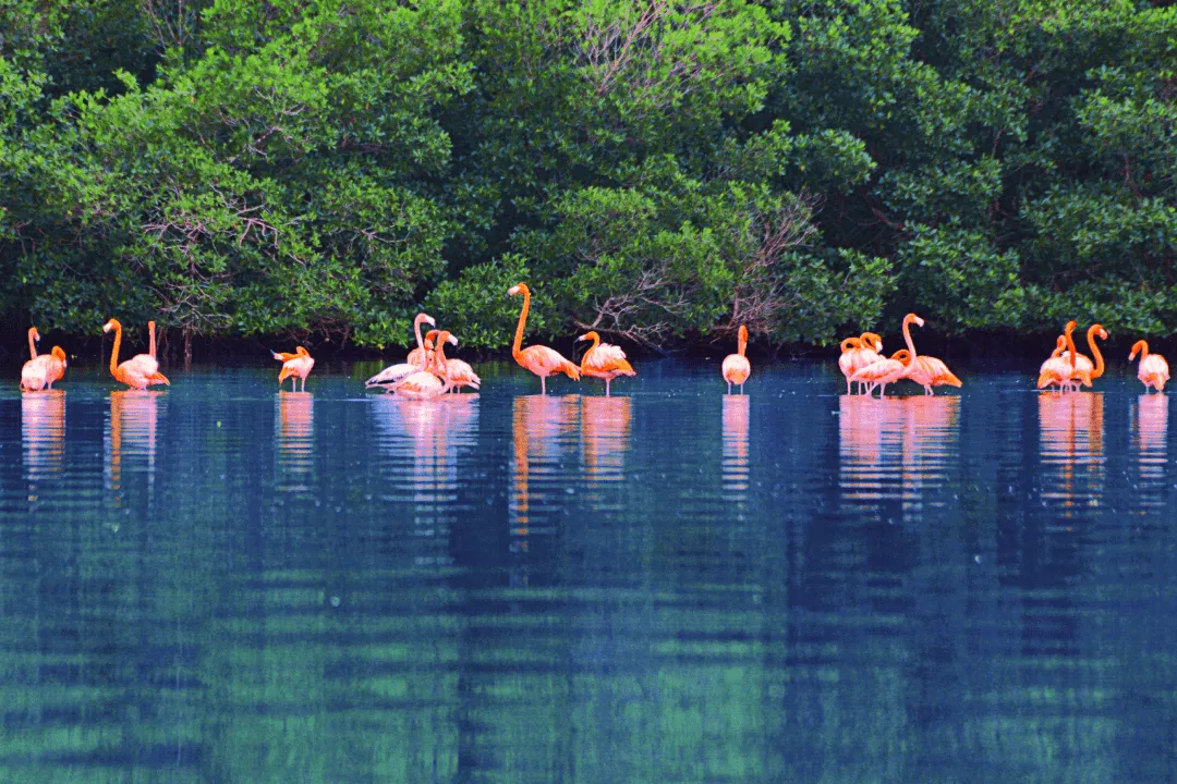 Озеро Гуанарока