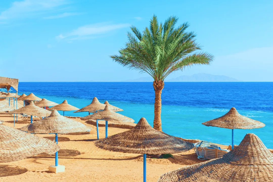 Курорт Шарм-эль-Шейх