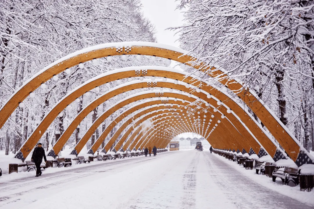 Арка в парке «Сокольники»