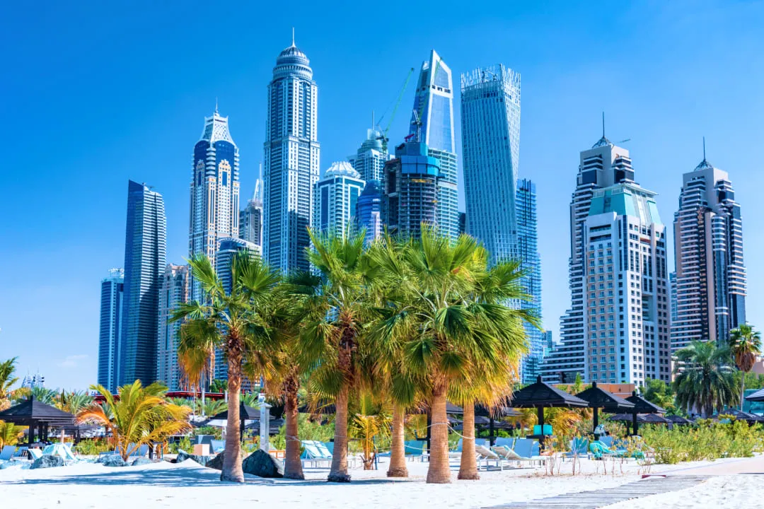 Пальмы на фоне небоскребов