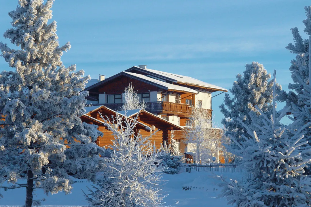 Двухэтажный дом посреди леса