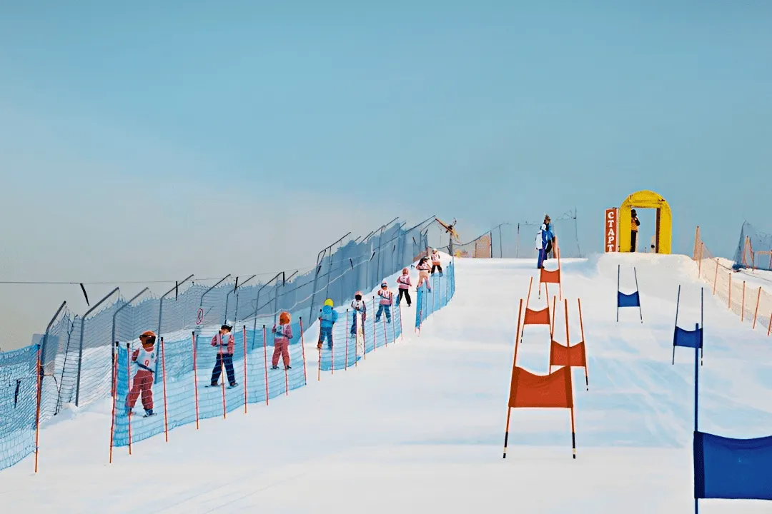 Лыжники поднимаются на гору