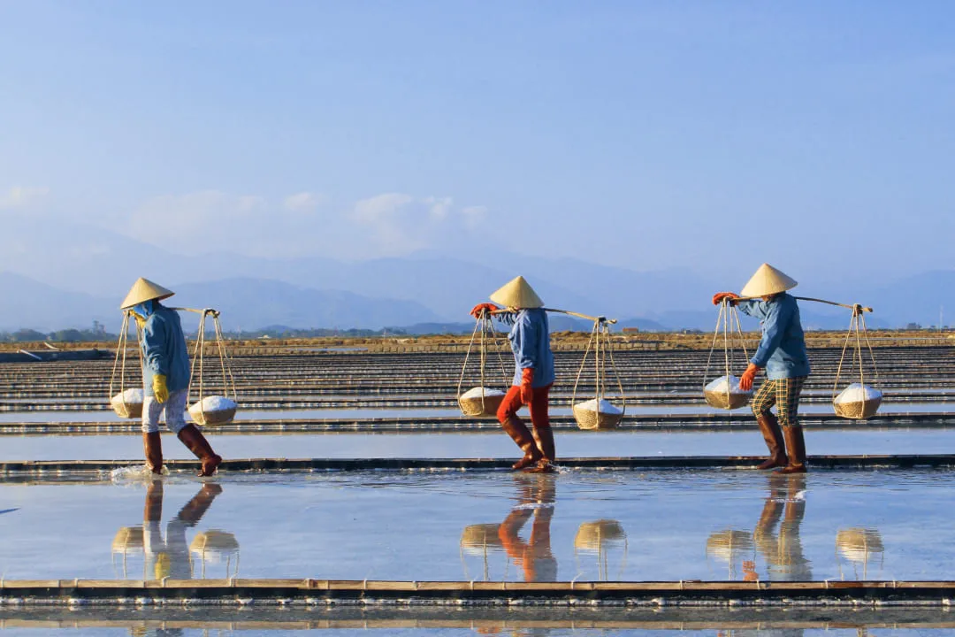 Соляные плантации во Вьетнаме