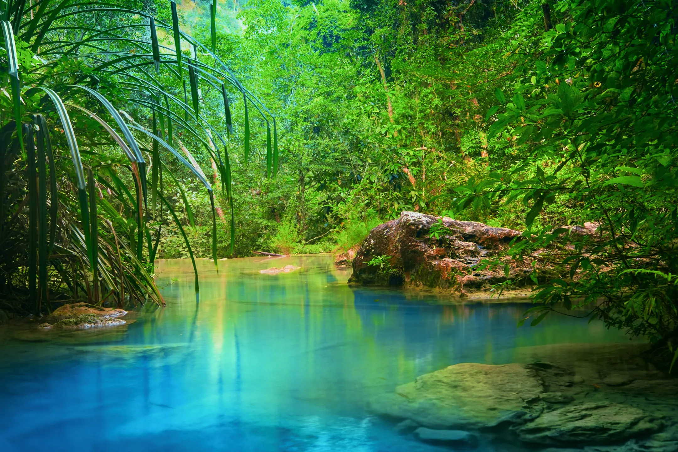 Озеро в тайском лесу