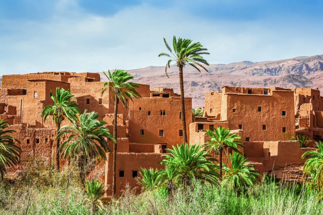 Пальмы на фоне города