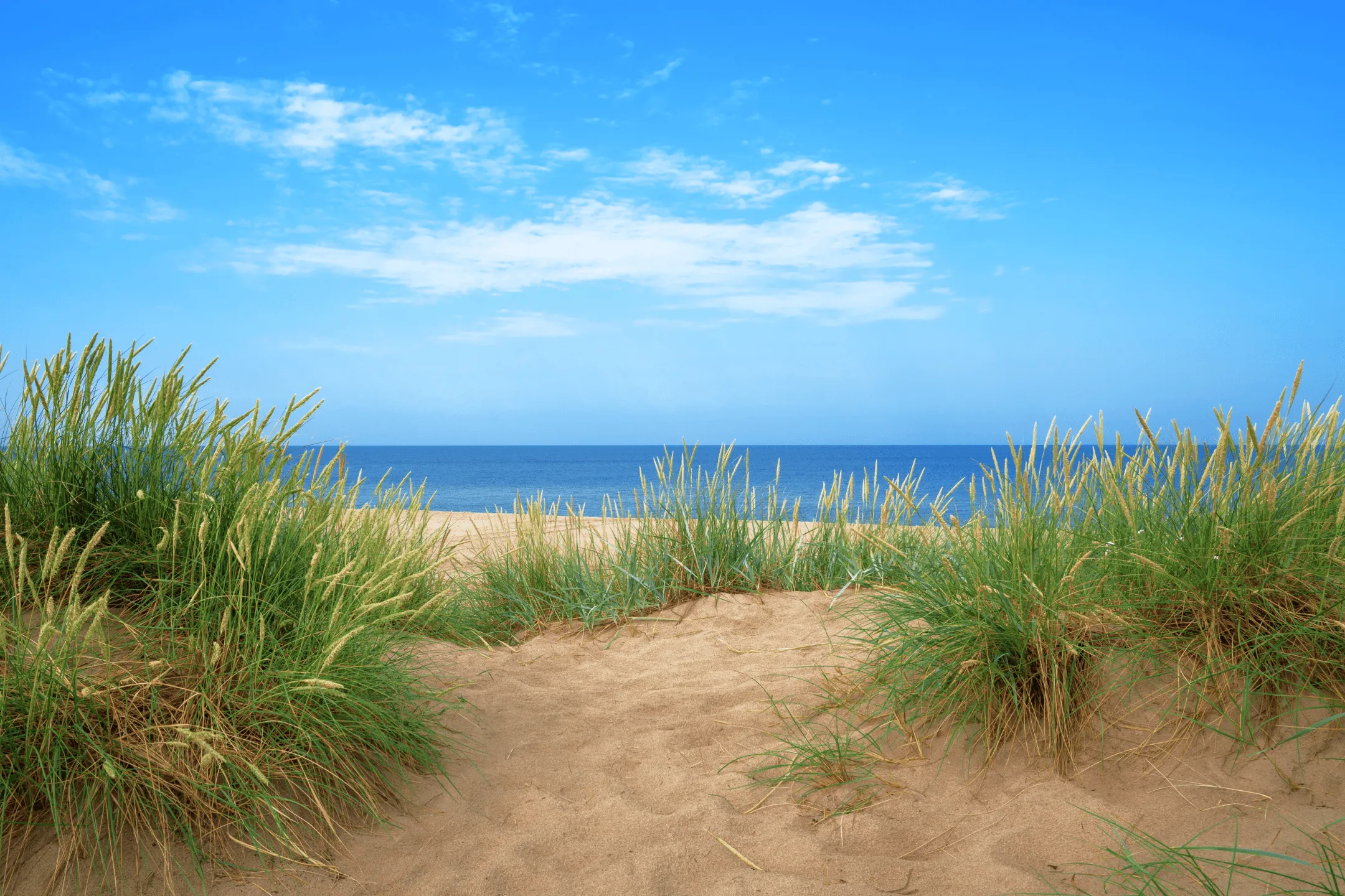 Песчаный берег моря