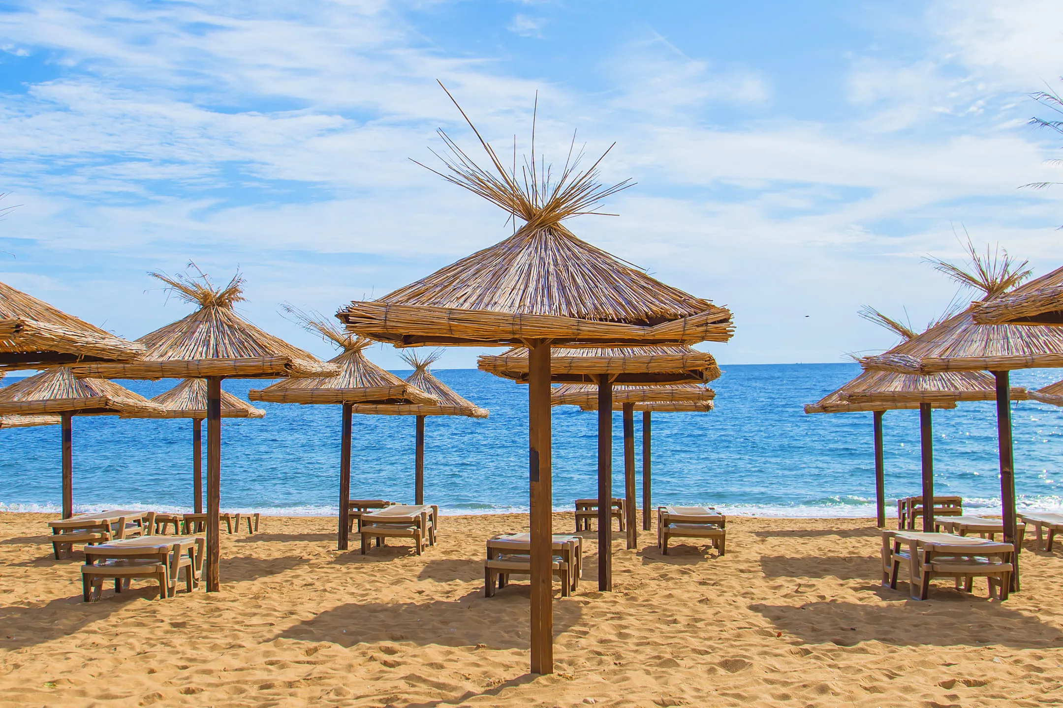 Пляжные зонтики 