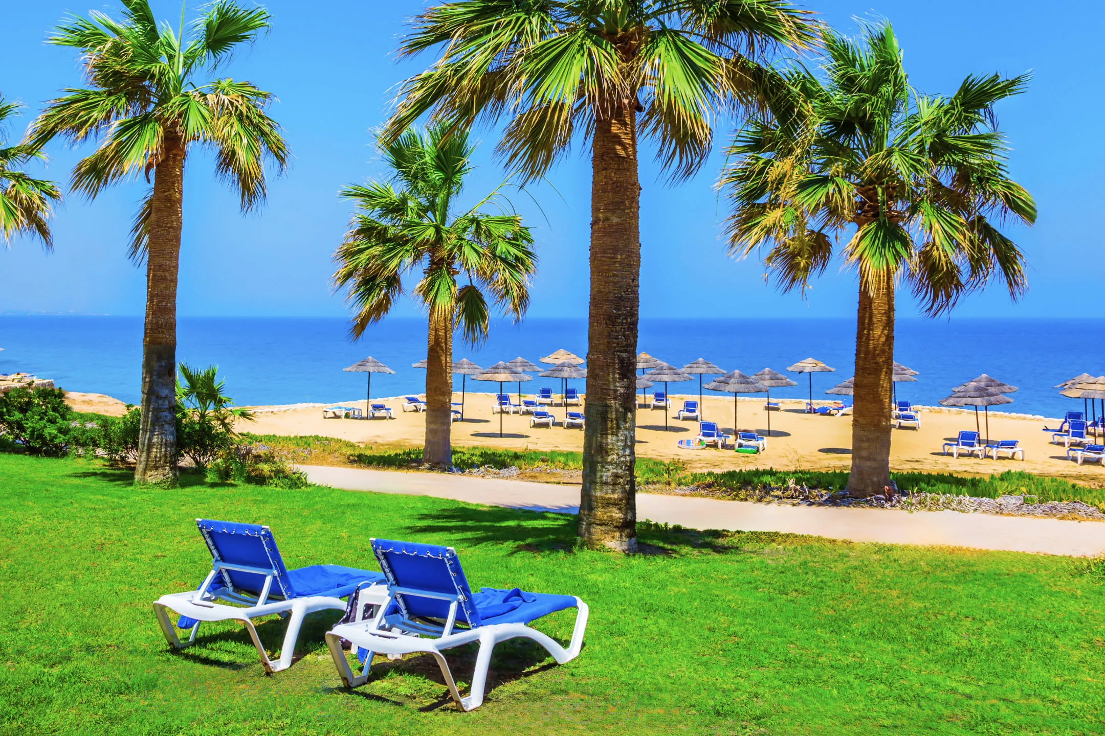 Синие шезлонги на берегу моря