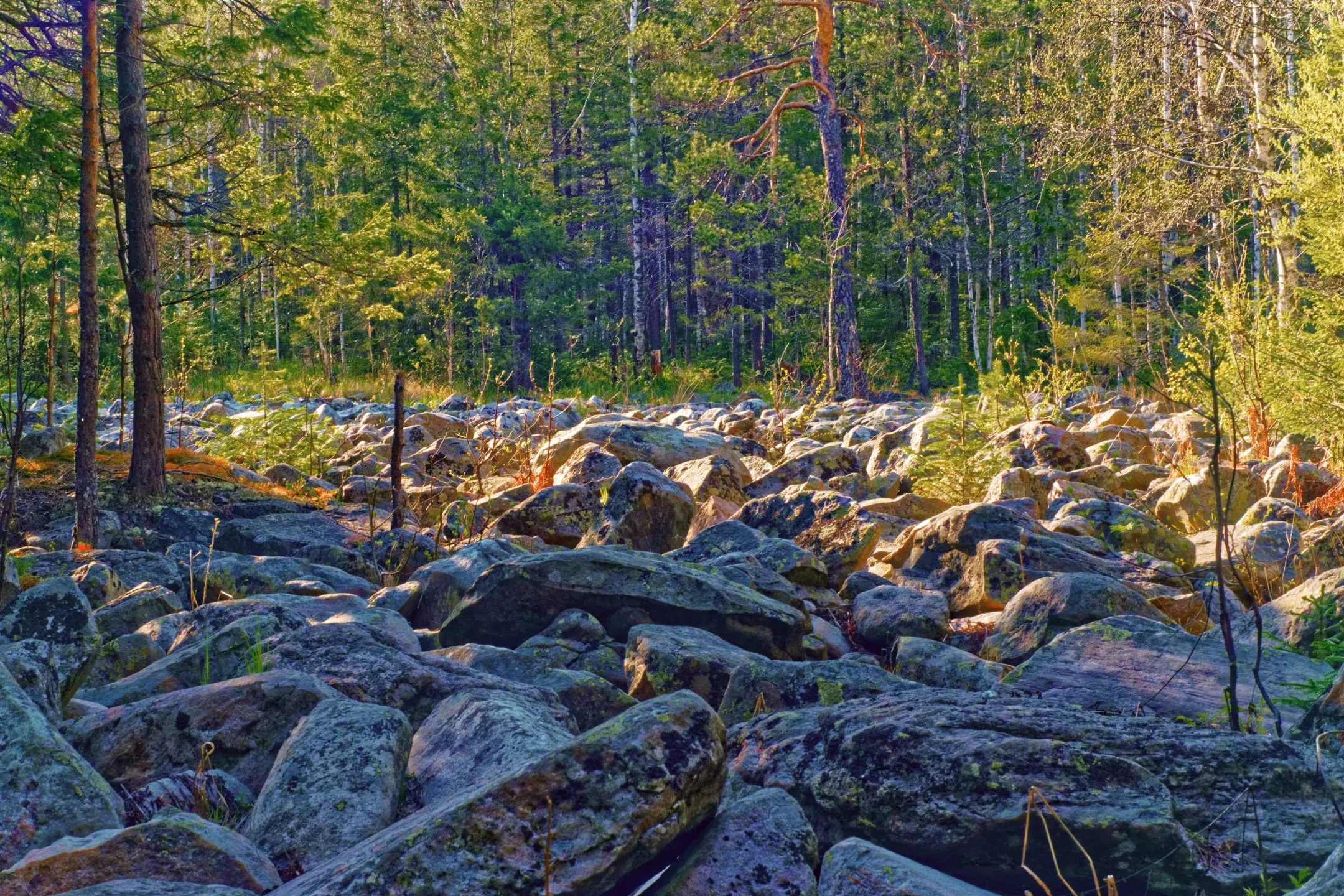 Каменная река 