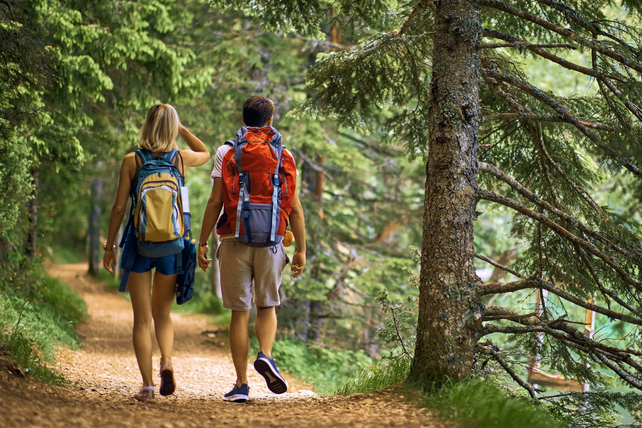 Мужчина и женщина идут по лесу