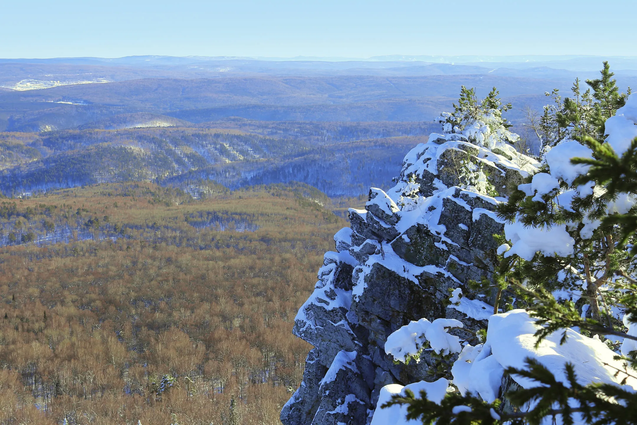 Заснеженные ели на верхушке горы