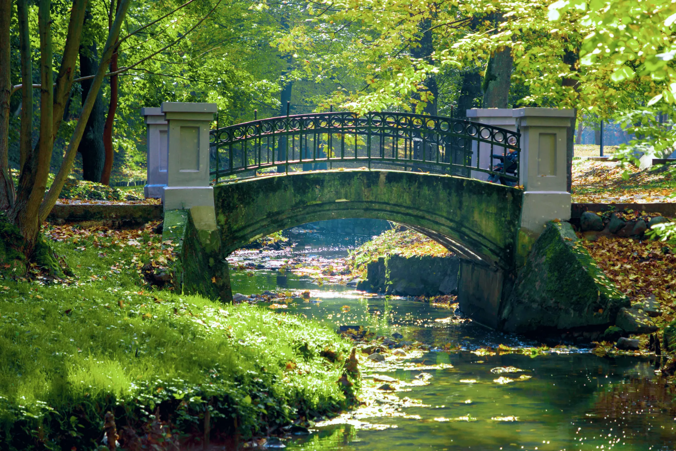 Небольшой мост через реку в лесу