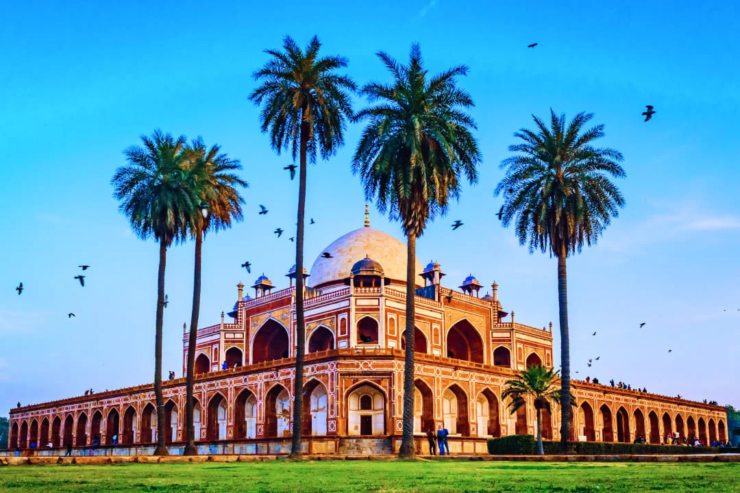 Вороны кружат над мечетью