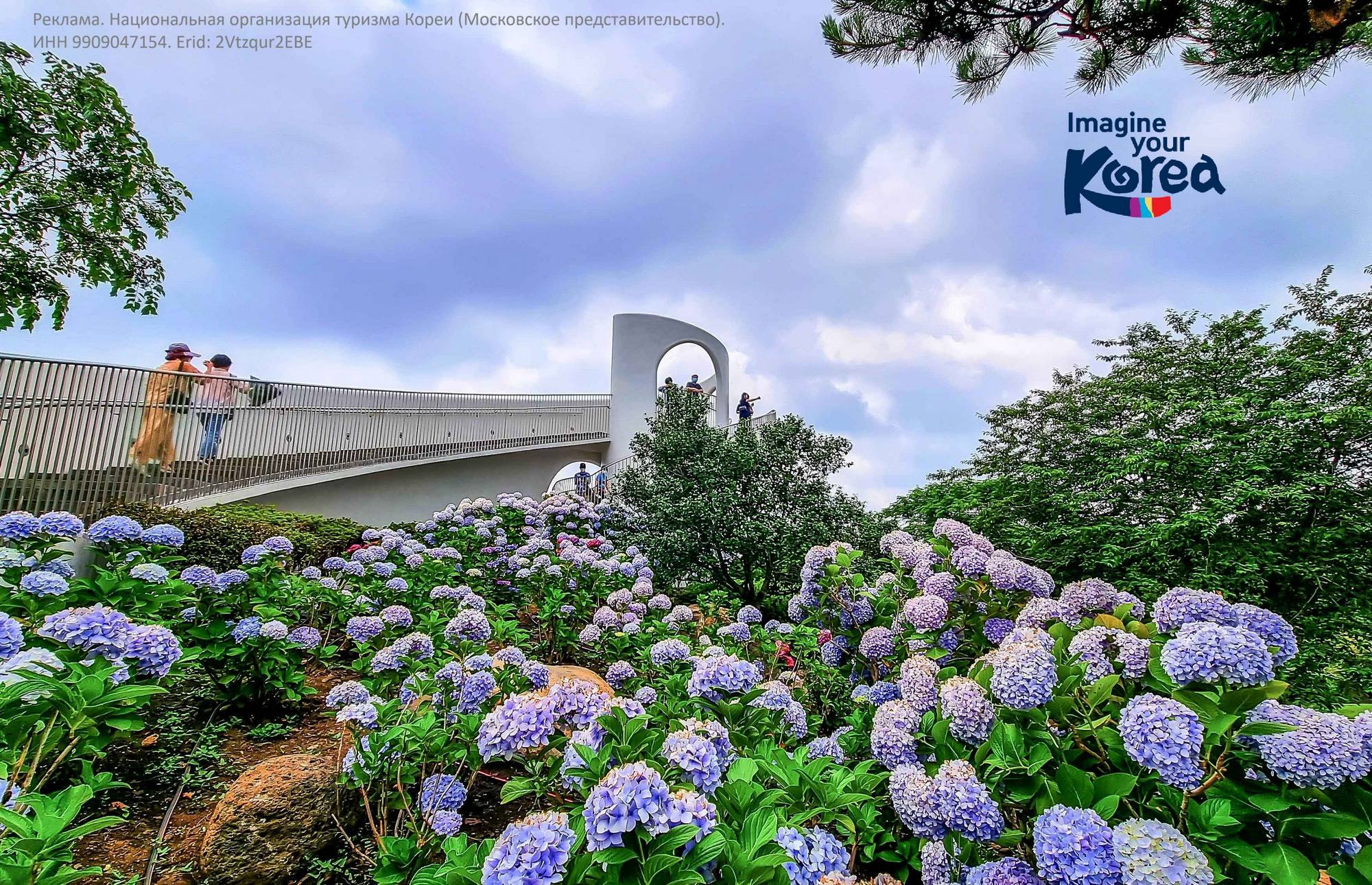 Что делать в Корее весной 2026