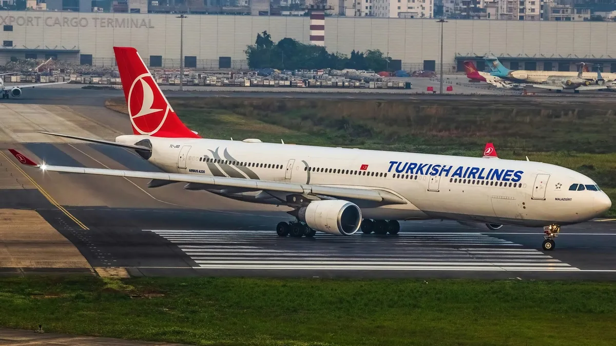 Правила провоза багажа и ручной клади Turkish Airlines