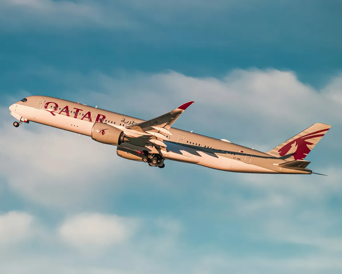 Правила провоза багажа и ручной клади Qatar Airways