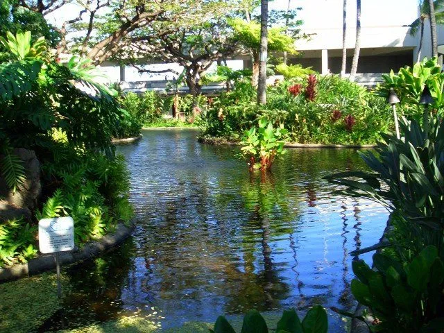 сад в аэропорту на Гаваях