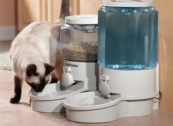 Автоматическая миска и поилка для кота