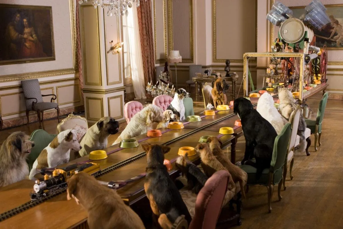 Где оставить питомца на время отпуска?