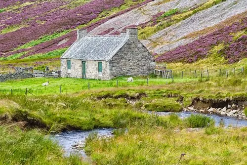 shutterstock_553471225