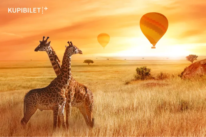 Танзания: нестандартный и доступный отдых