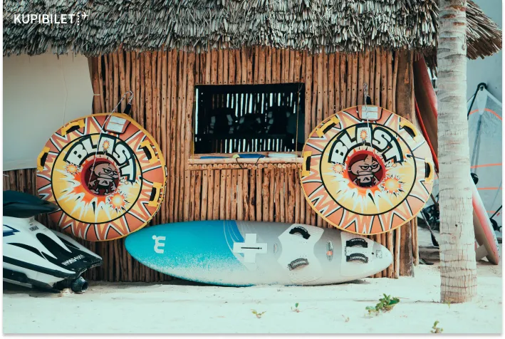 Авторская история: Занзибар, черепахи и Фредди Меркьюри