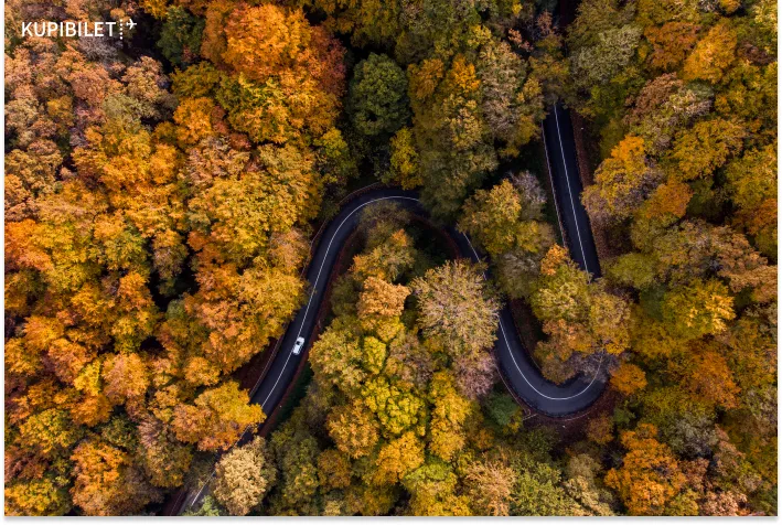 Ущелья, печенье из мяса и фриковые выставки: едем на отдых в Сербию