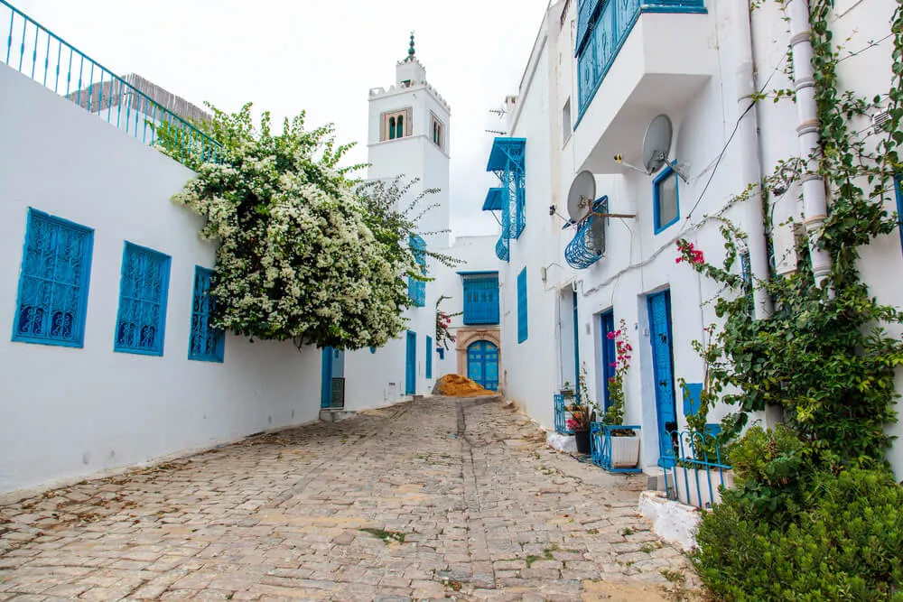 Сиди-бу-Саид