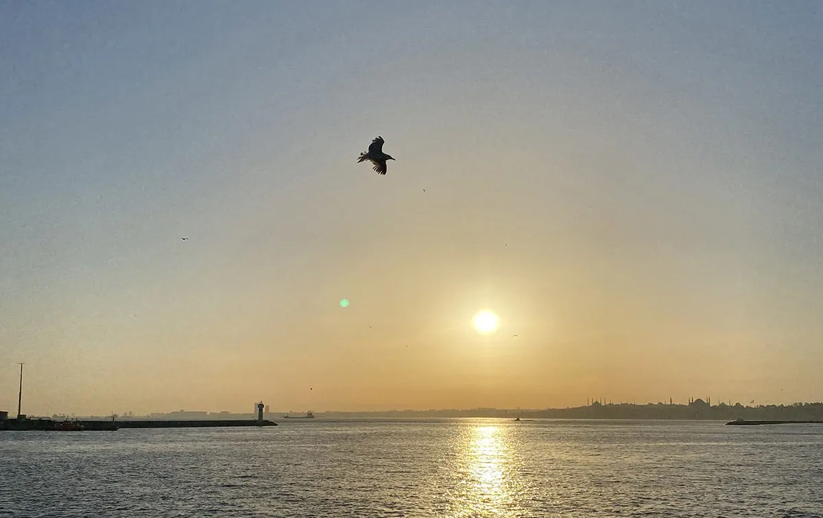 Вид на море при закате