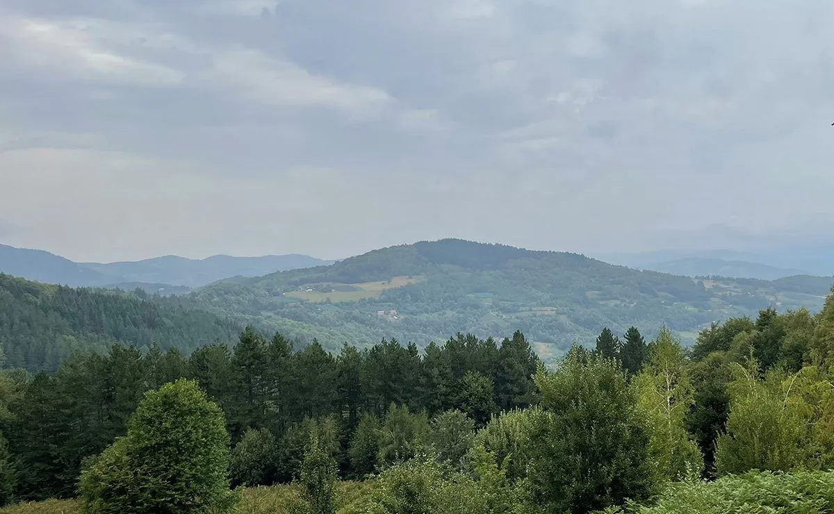 Гора в лесу