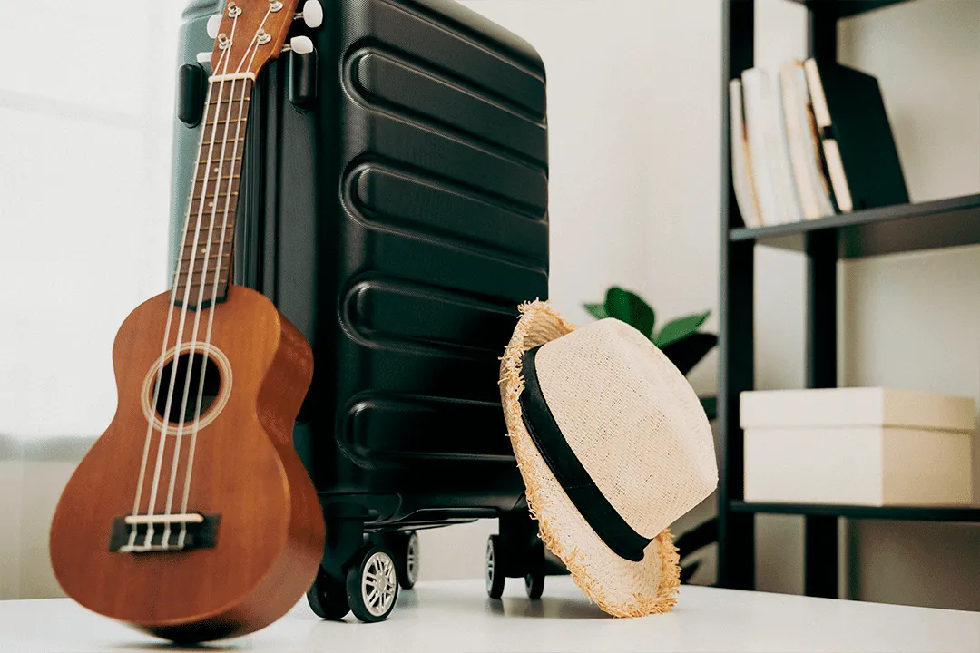 Как перевозить музыкальные инструменты в самолёте?