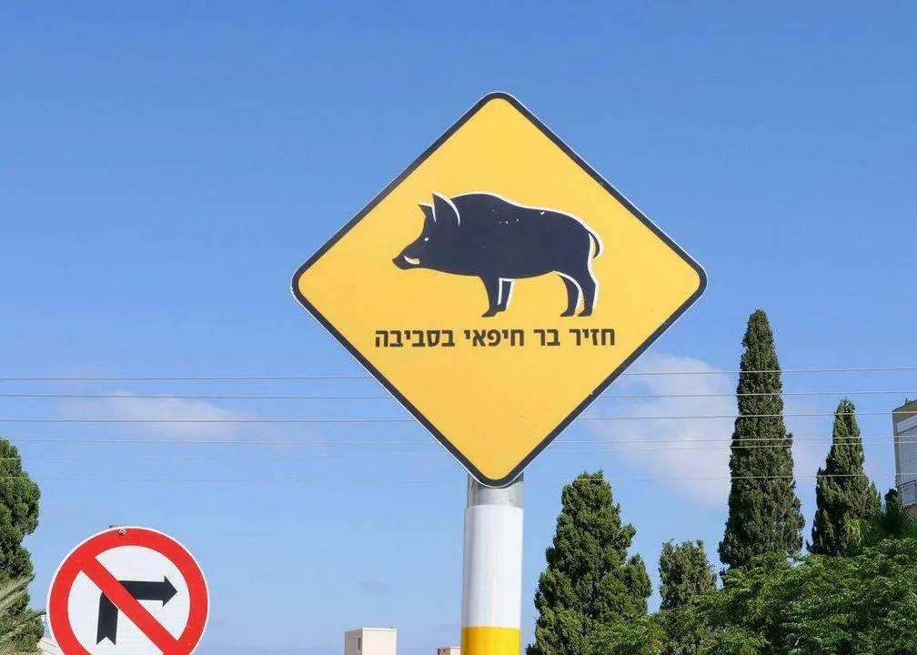 Предупреждающий знак