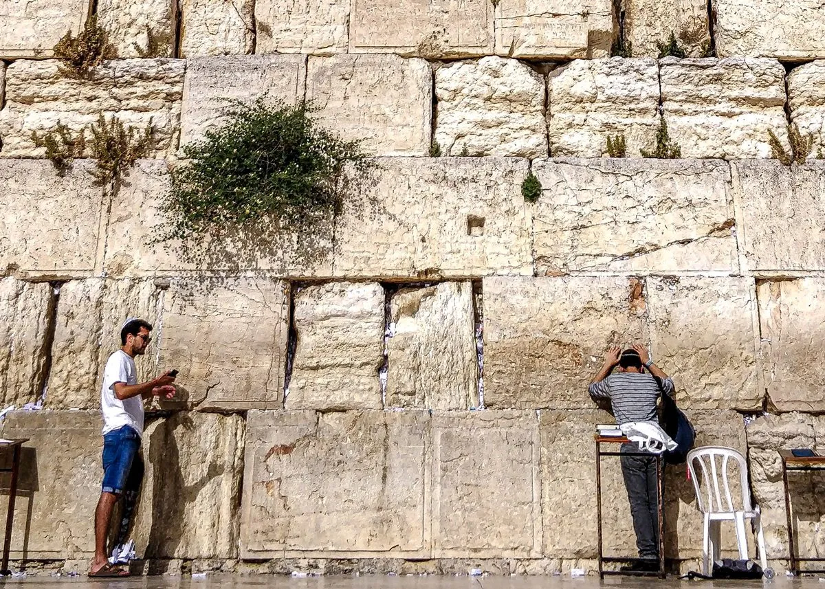 Поросшая кустами высокая каменная стена