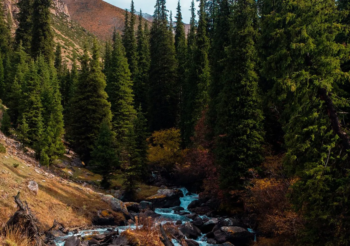 Ущелье Алтын-Арашан