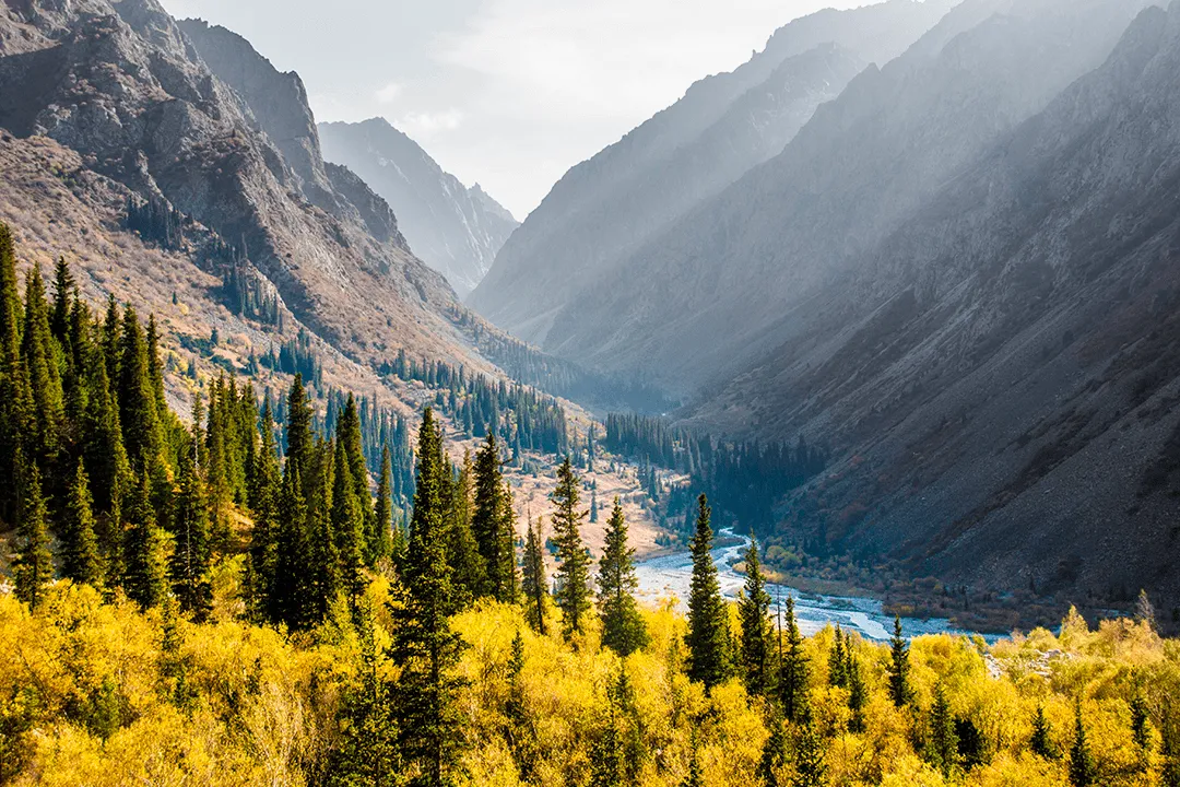 Правила въезда в Кыргызстан для россиян в 2025 году