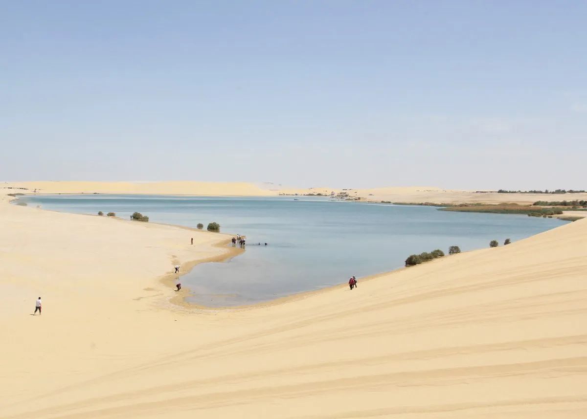 Неглубокое озеро посреди пустыни