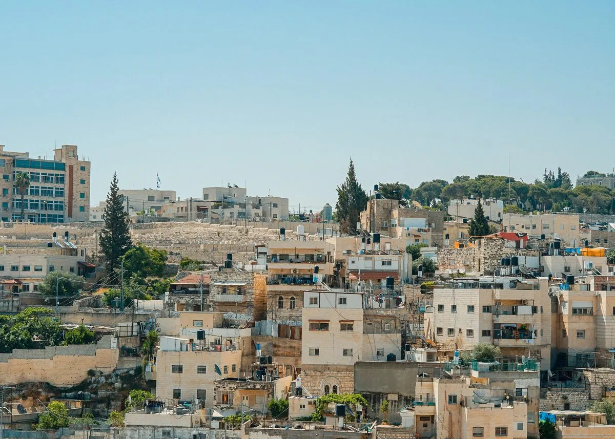 Ели среди многоуровневого города