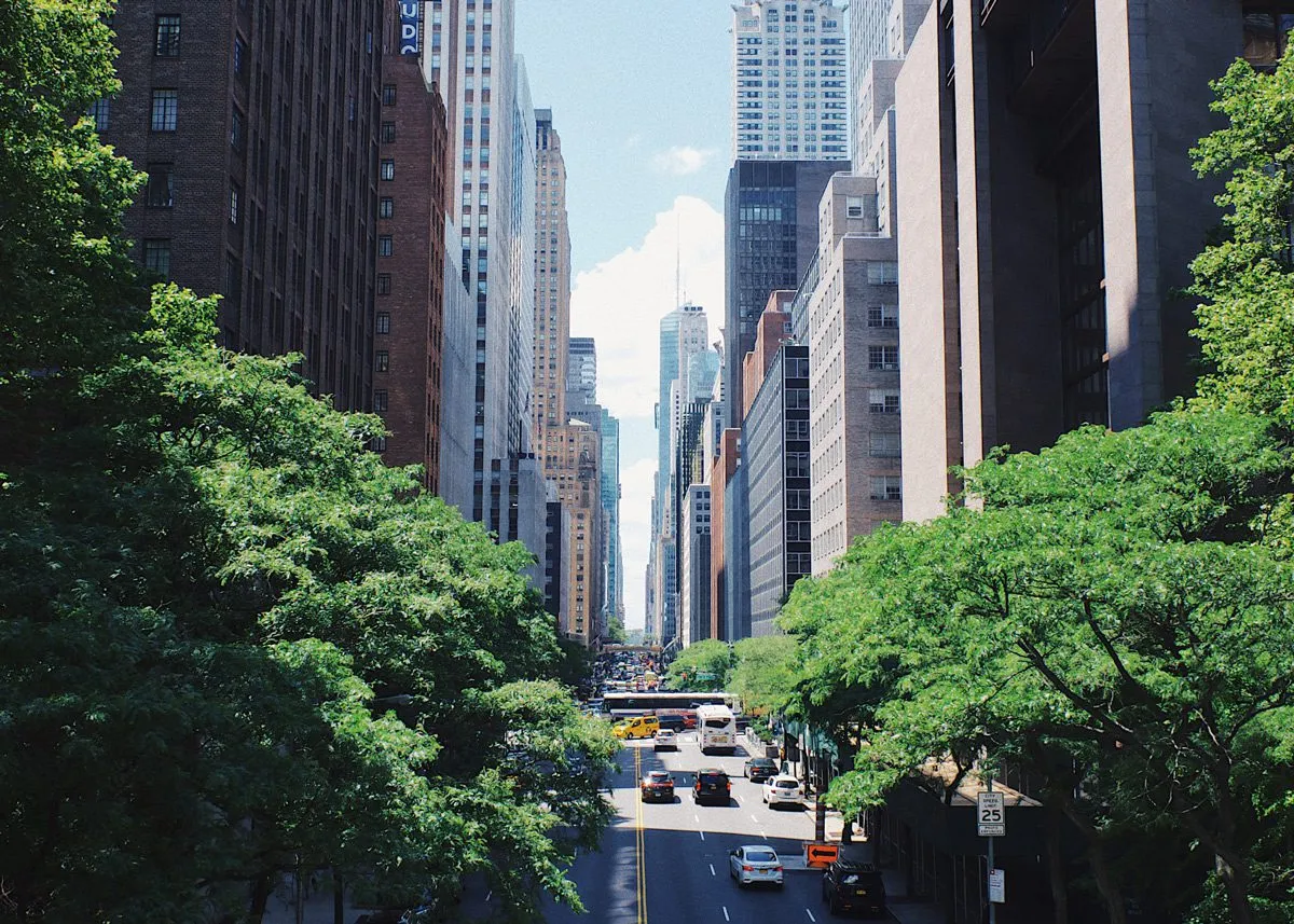 Проходящая между многоэтажными зданиями проезжая часть