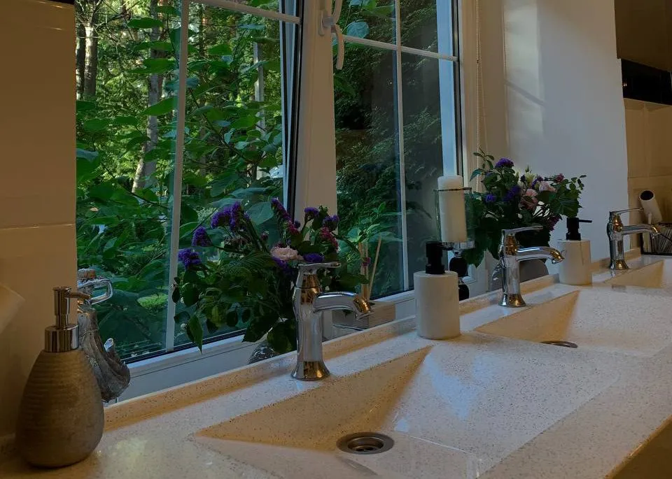 Раковины с цветами напротив открытого окна