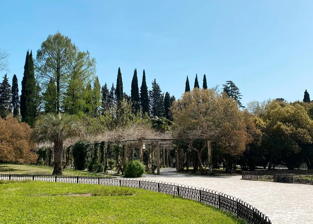 Пролегающая под кронами деревьев дорога