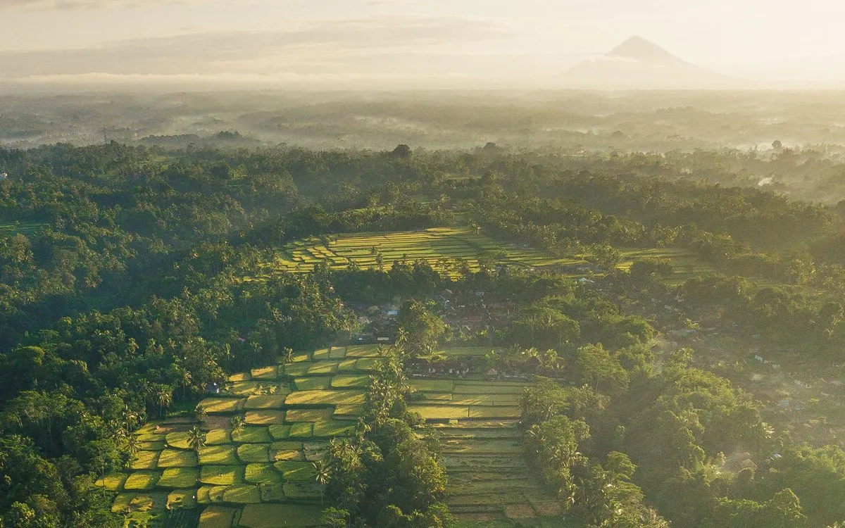 Правила въезда в Индонезию