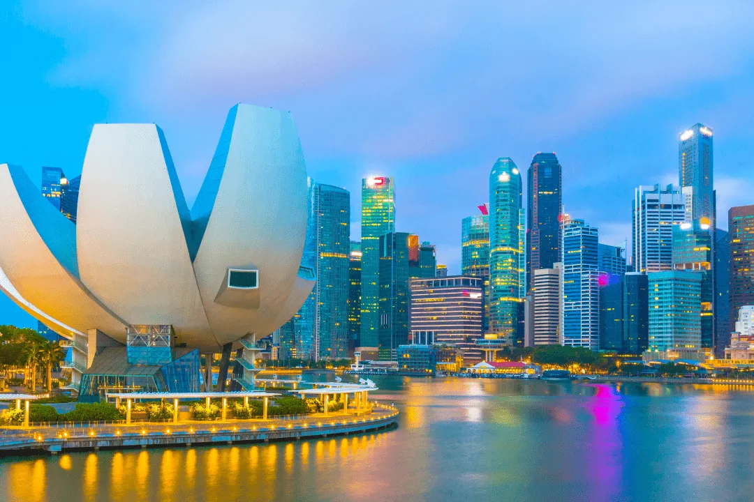 Правила въезда в Сингапур